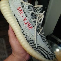 Zebra Size 10