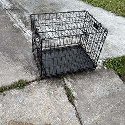 Black Dog Cage