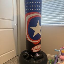 Kids punching bag