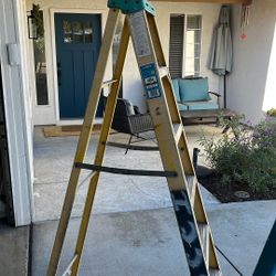 Werner 6 Foot Fiberglass Ladder