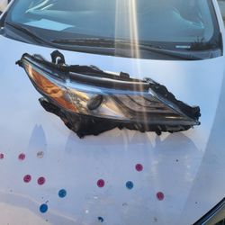 2019 Toyota Camery Headlight 