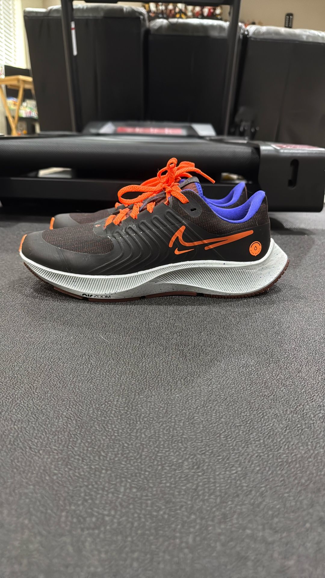 Nike Air Zoom Pegasus 38 Shield