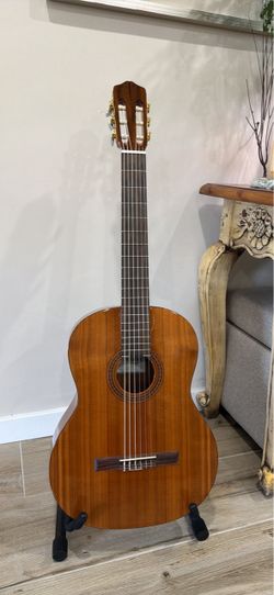 Cordoba C5 Classical Guitar Solid Cedar Top New Strings