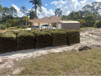 St. Augustine Sod