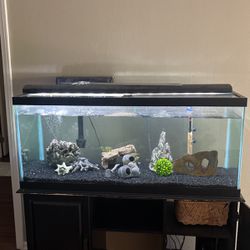 Fish Tank With Stand. Includes Fish And Everything You Need