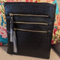 Purse, Leather Crossbody 