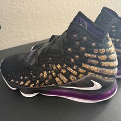 Brand new LeBron 17 Lakers. (No Box)