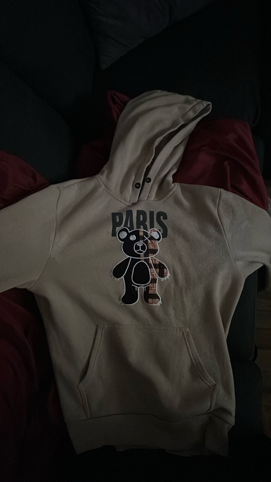 Paris Bear Hoodie (M)