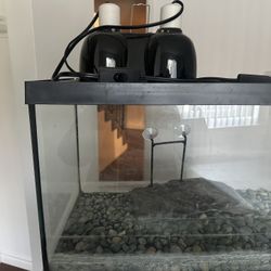 Turtle Tank !