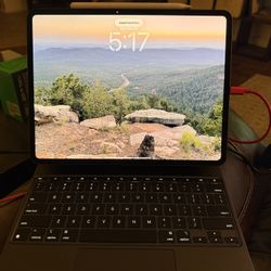 Apple IPad M4 Pro 13” 512GB WIFI with extras. OLED.
