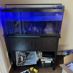 Aquarium With Stand And Everything Needed