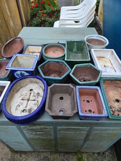 Large Bonsai Pots