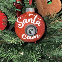 Santa Cam 
