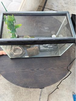 Reptile Tank