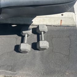 40 Lbs Dumbbell  Weights