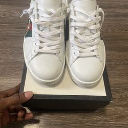 Gucci sneaker 