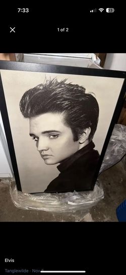 Big Elvis Picture