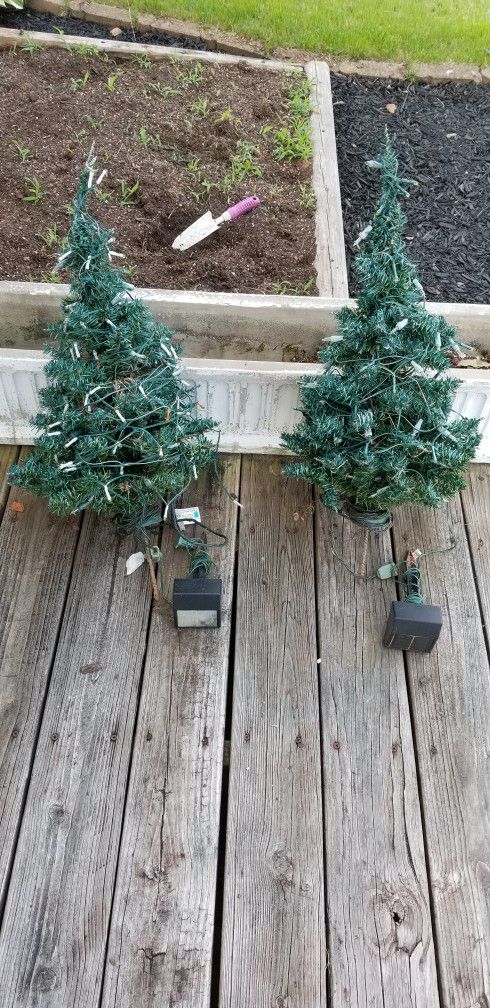 Set of Two Martha Stewart Topiaries with Solar Lights