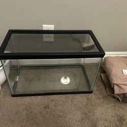Fish Tank