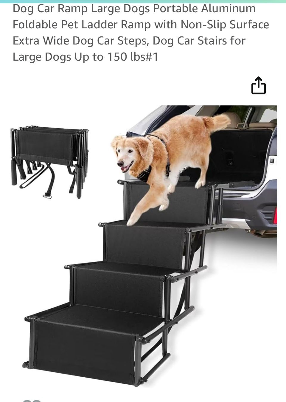 Dog Steps New