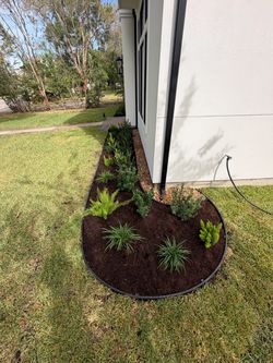 Plants - mulch