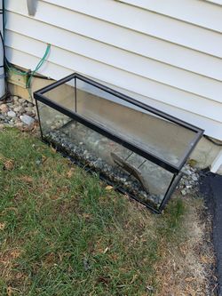 20 Gallon Aquatic Pet Tank