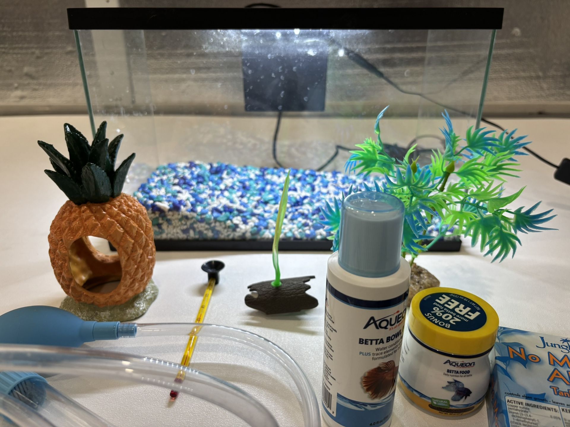 5 Gallon aquarium