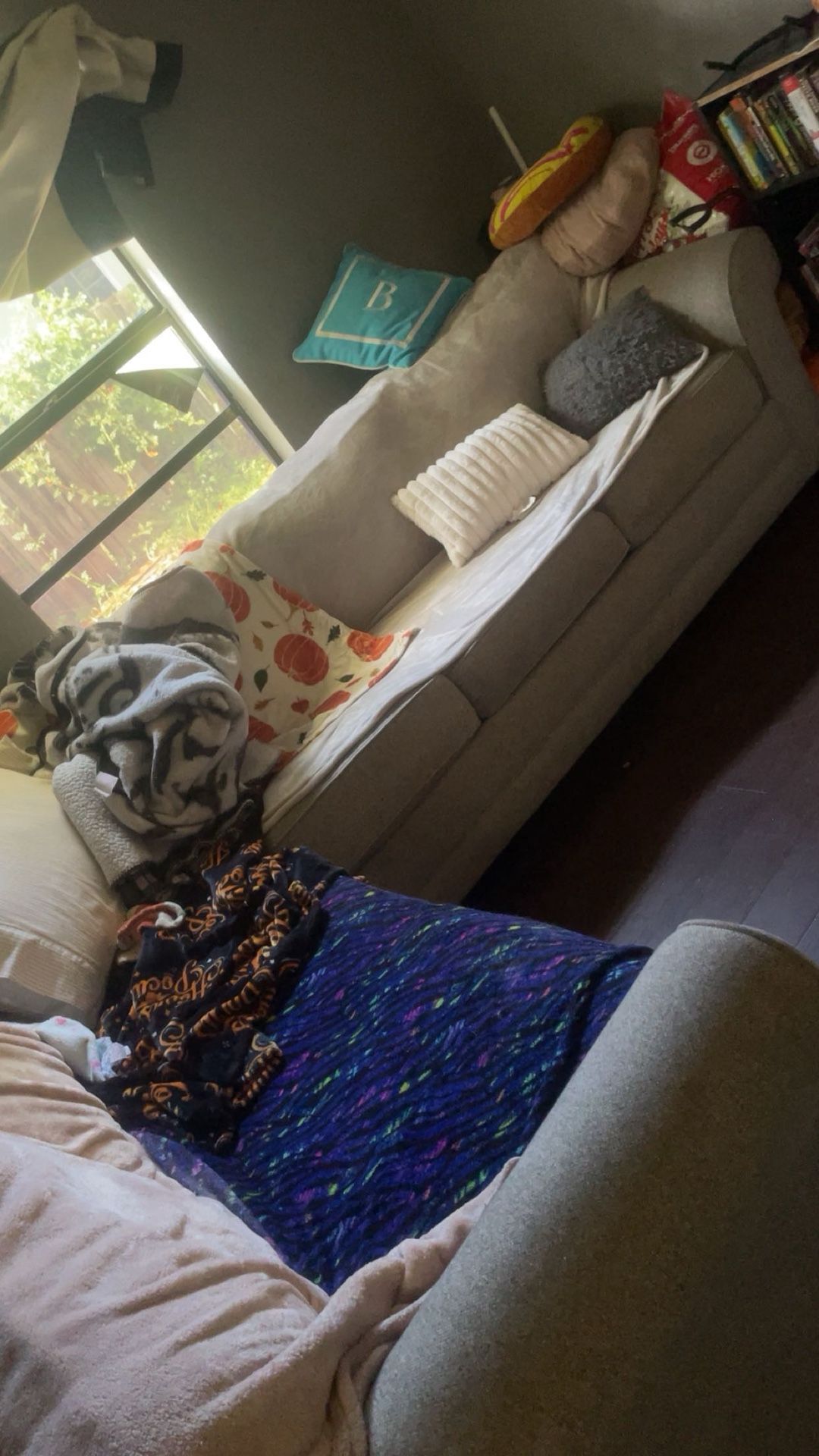 L-Shaped Sectional with Pull-Out Queen Futon – Must Go ASAP!