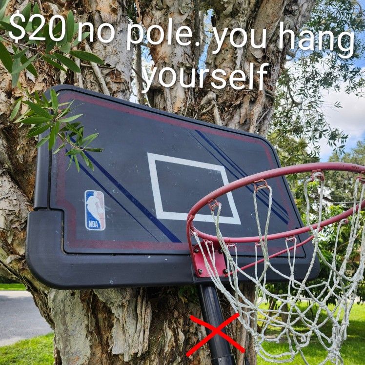 $20 For Hoop Backboard Only You Mount It Yourself Basketball Hoop Or $50 For Complete Basketball Hoop Stand Pole