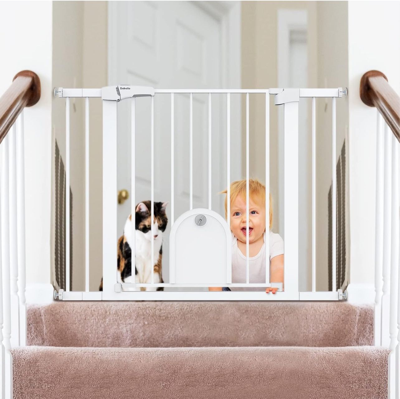 Baby Gate