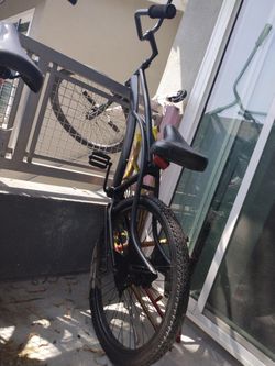 Beach Cruiser