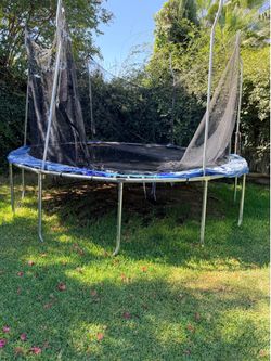 Free Trampoline
