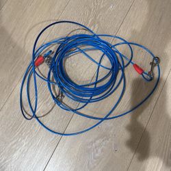 dog outside leash chain 