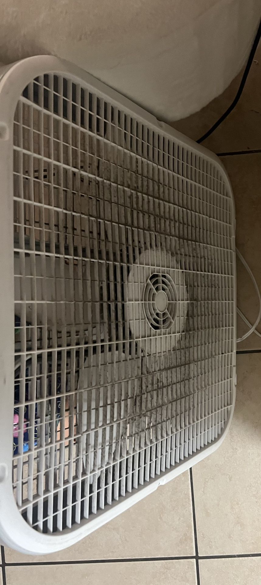Fan