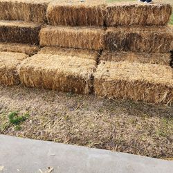 50 Bales Of Hey Available @ 18$each