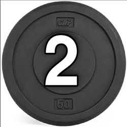 Two 50lb Weight Plates