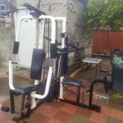 Exercise Weights Work out 