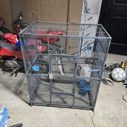 Big Bird Cage 