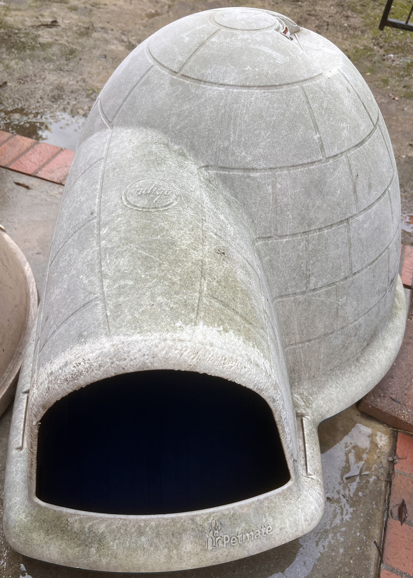 Pet mate small dog igloo