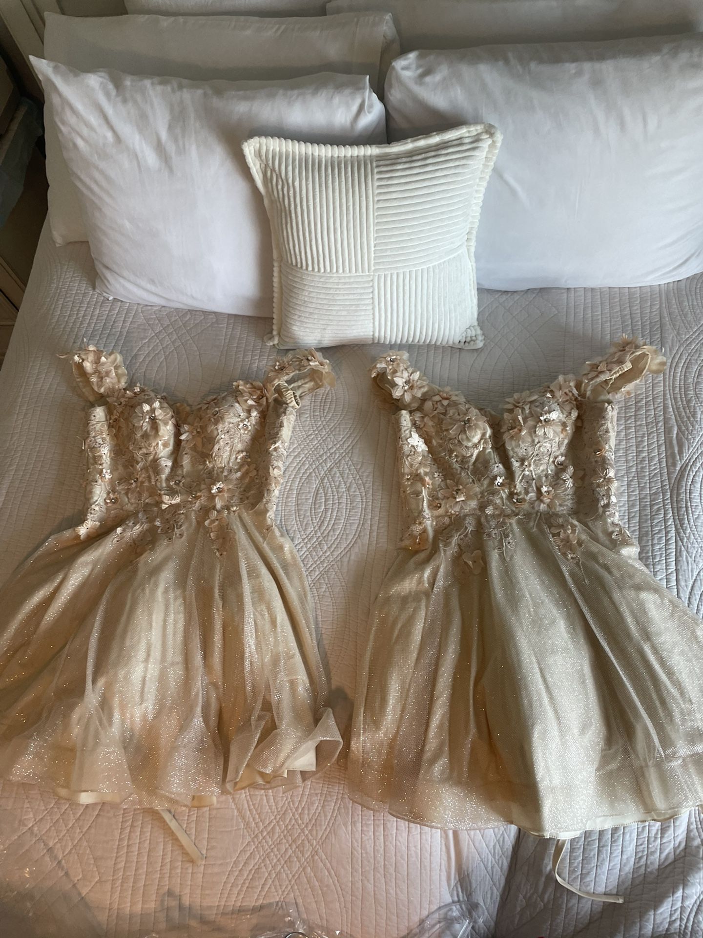 Formal Dresses / Quince Dama Dresses
