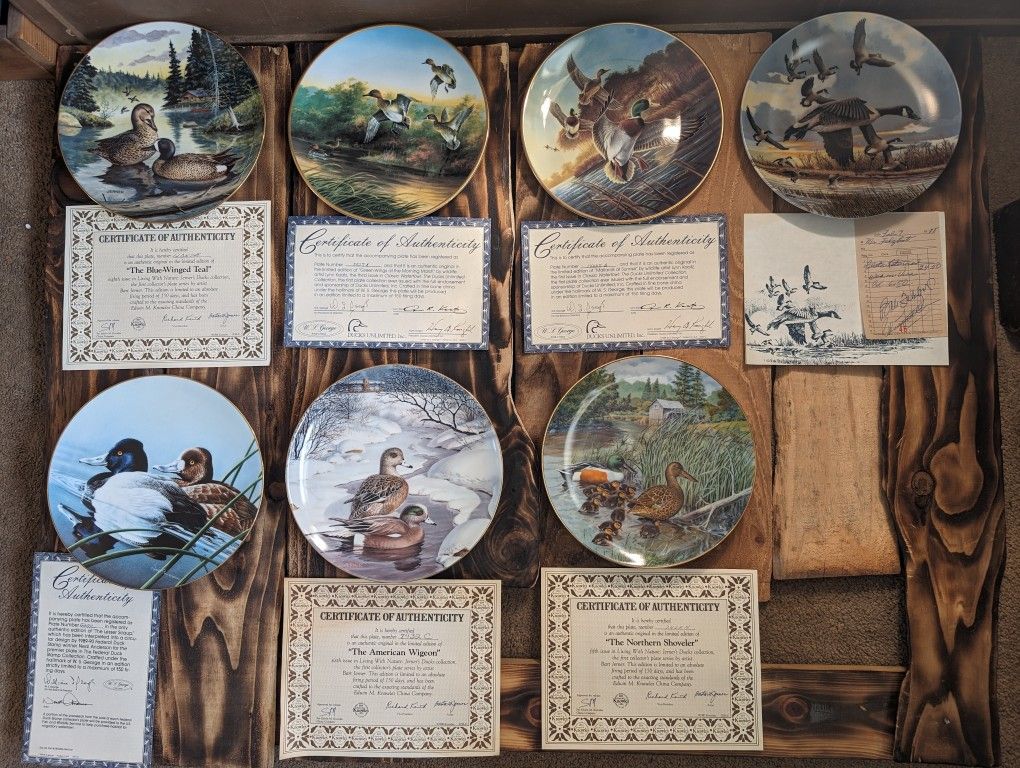 Vintage Duck Collectors China Plates