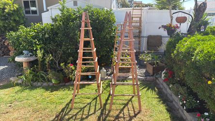 Wood Trellis