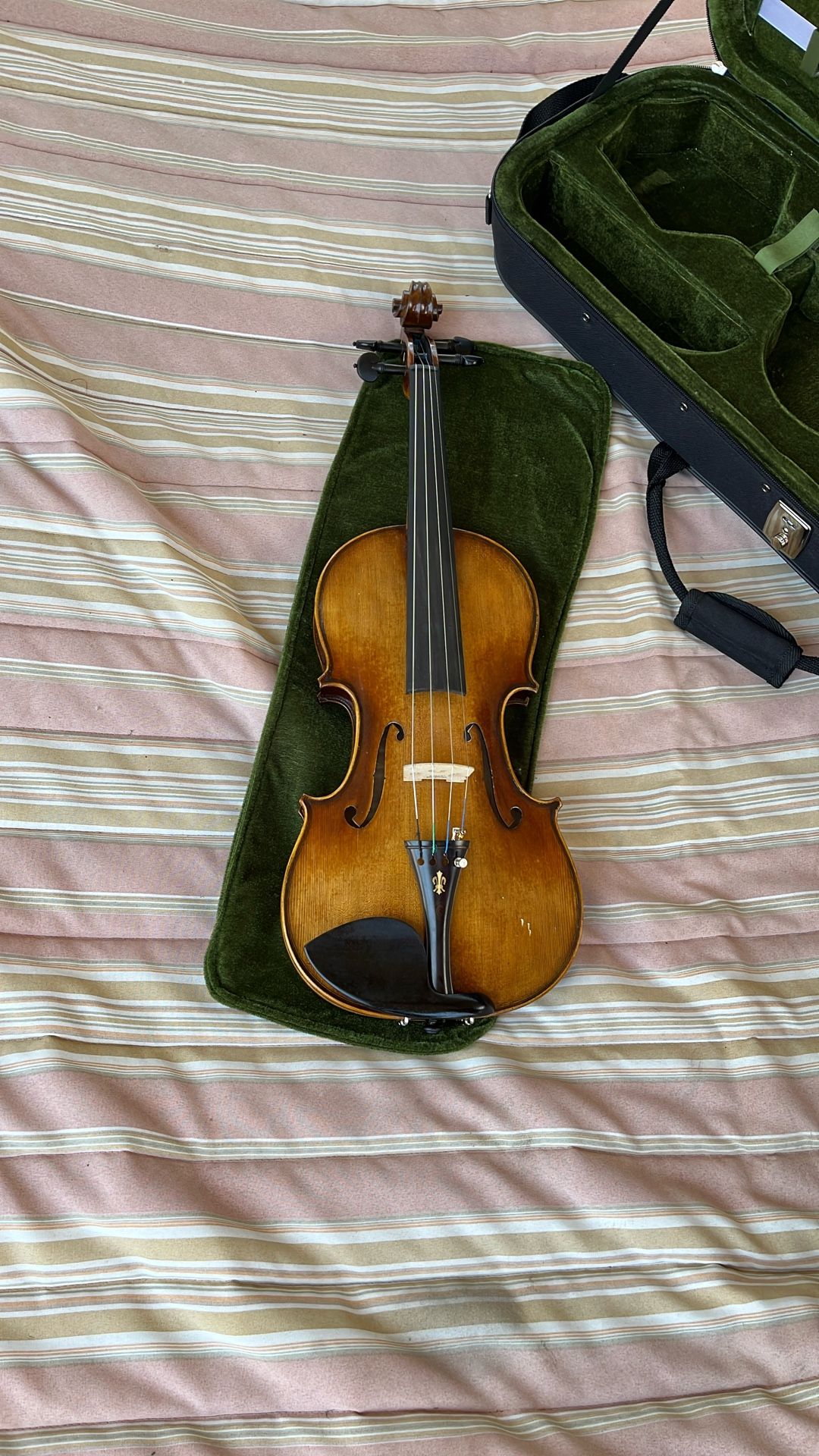 Violin