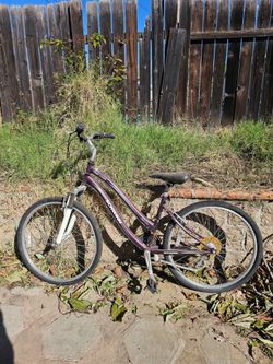 Schwinn Clear Creek Bike + Mongoose Mountain Bike