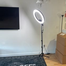 Ring Light (tall)