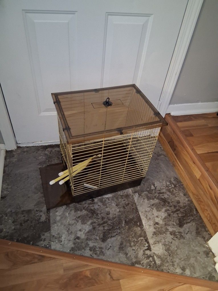 Bird Cage