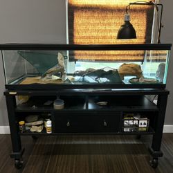 Terrarium/Reptile Tank with Stand and Supplies