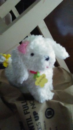 Frenchy the little white poodle
