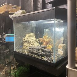 20 Gallon Fish Tank Aquarium W/ Stand If Needed