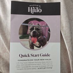 OEM Muffin's Halo Size 5 Gray For Blind Dog